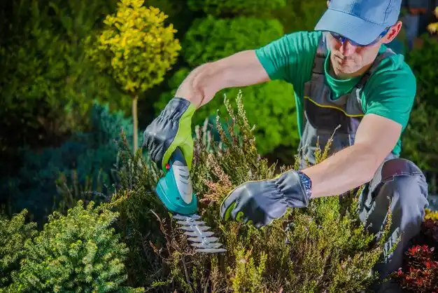landscaping services Greenfield